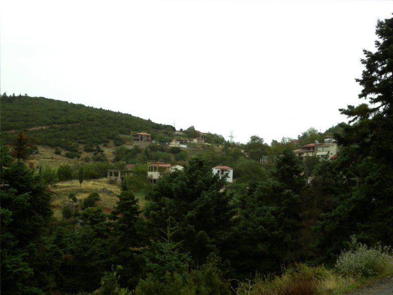 eleytherohori_image2