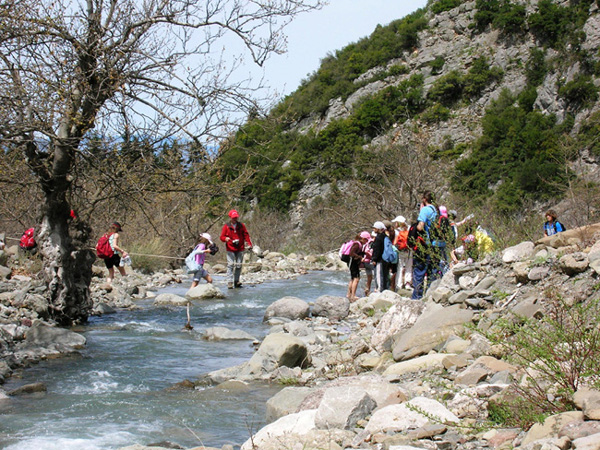 kastania_image3