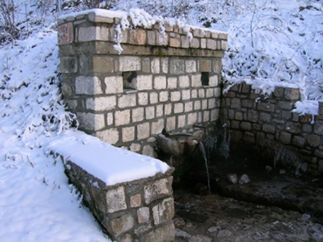 neoxori_image1