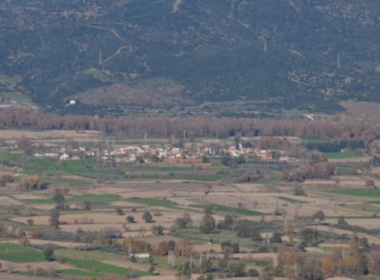 Τοπική Κοινότητα Ροδωνιάς