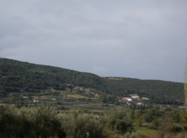 Τοπική Κοινότητα Συκάς