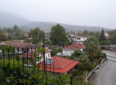 alepospita_image