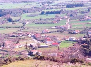 amalota_image