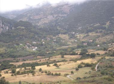 dyo_vouna_image1