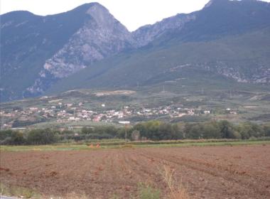 frantzi_image