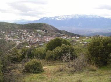 kalamaki_image