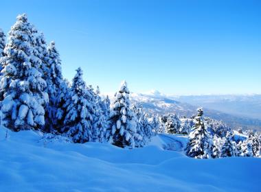 kastania_image2