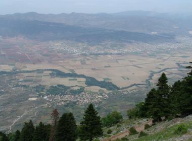 kompotades_image4