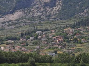 kostalexi_image