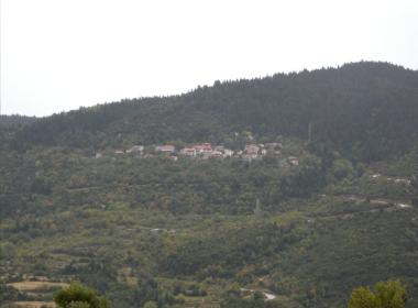 koymaritsi_image1