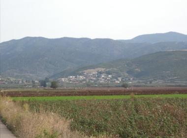lygaria_image1