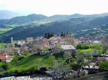 mosxokarya_image