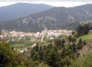 pavlianh_image