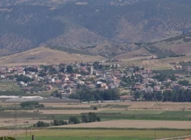 stayros_image