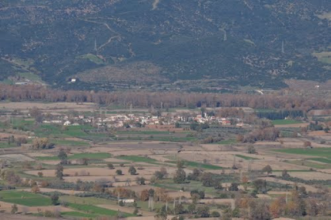 Τοπική Κοινότητα Ροδωνιάς