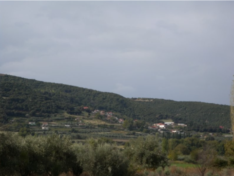 Τοπική Κοινότητα Συκάς