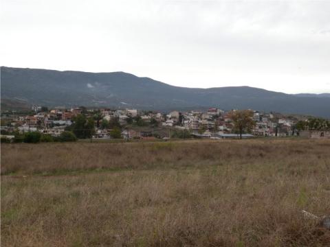 agia_paraskevi_image