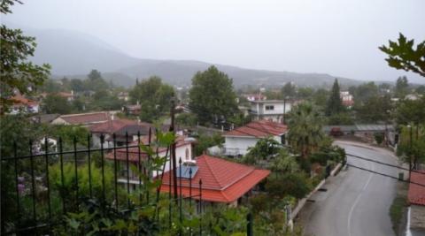 alepospita_image