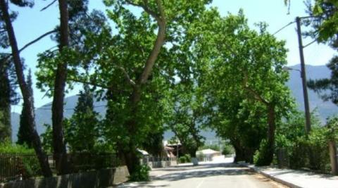 amouri_image