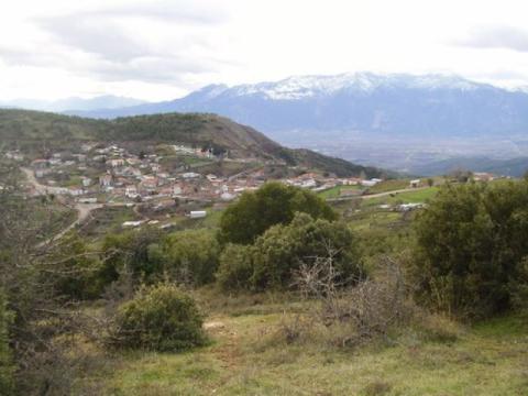 kalamaki_image