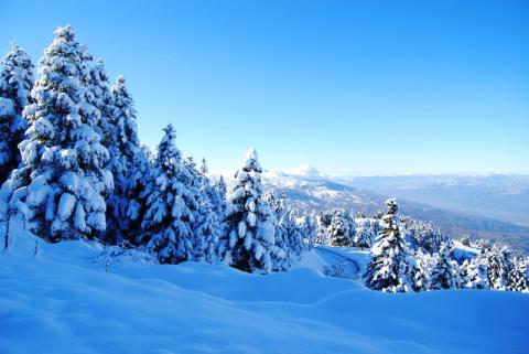 kastania_image2
