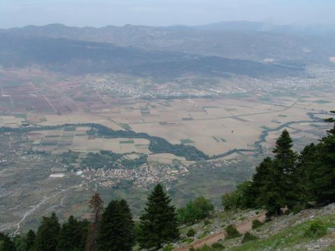 kompotades_image4
