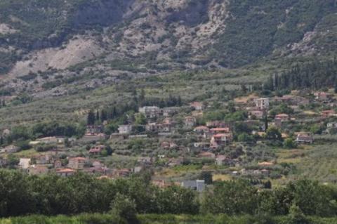 kostalexi_image