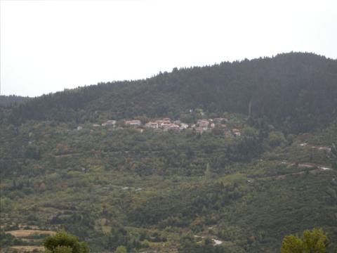 koymaritsi_image1