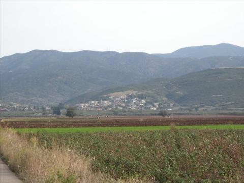lygaria_image1