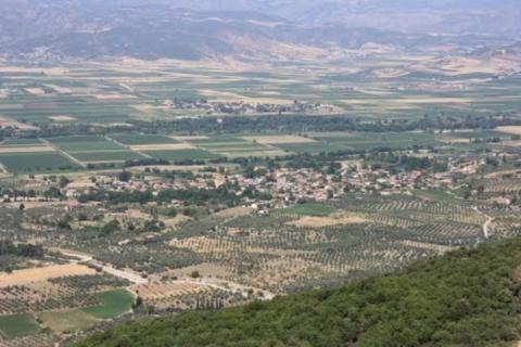 mexiates_image1