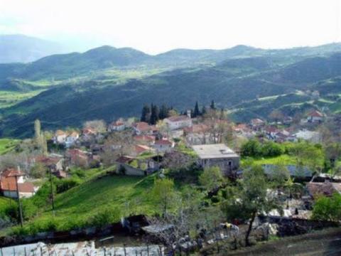mosxokarya_image