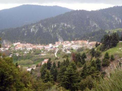 pavlianh_image