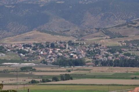 stayros_image