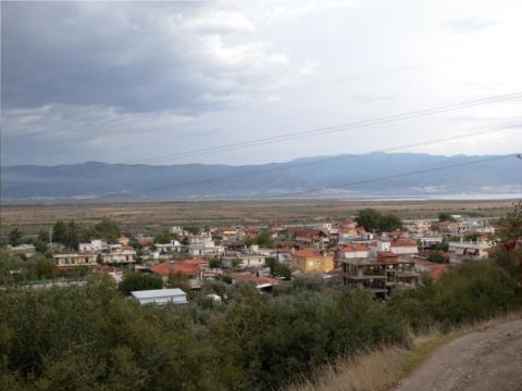 thermopyles_image