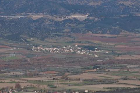 zeli_image